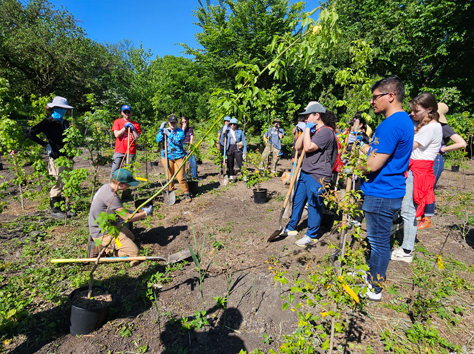 A group of volunteers watching an employee plant a tree.