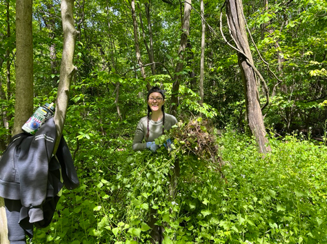 A steward carrying bundle of grass inside of a park.