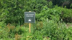 Last Chance Pond Park