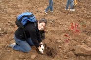 MillionTreesNYC planting in Kissena Corridor Park 