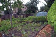 2009 GreenThumb Harvest Fair 