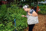 2009 GreenThumb Harvest Fair 
