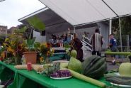 2009 GreenThumb Harvest Fair 