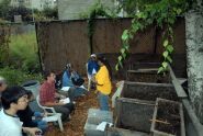 2009 GreenThumb Harvest Fair 