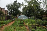 2009 GreenThumb Harvest Fair 