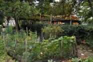 2009 GreenThumb Harvest Fair 