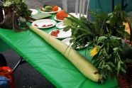 2009 GreenThumb Harvest Fair 