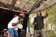 Public Enemy at SummerStage in Central Park 