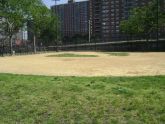 Col. Young Playground Baseball Field 