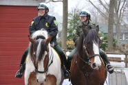 Mounted Auxiliary Unit at Staten Island Zoo 