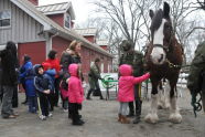 Mounted Auxiliary Unit at Staten Island Zoo 