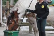 Mounted Auxiliary Unit at Staten Island Zoo 