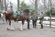 Mounted Auxiliary Unit at Staten Island Zoo 