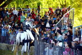 A knight greets visitors at the Medieval Festival 