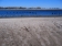 MARINE PARK